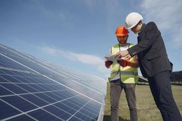 Personas en campo de paneles fotovoltaicos